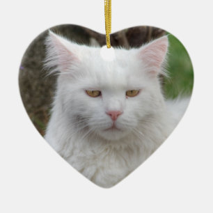 Serious White Cat Ceramic Ornament