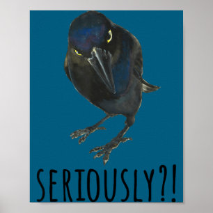 Seriously Mpy Black Grackle Black Bird Poster
