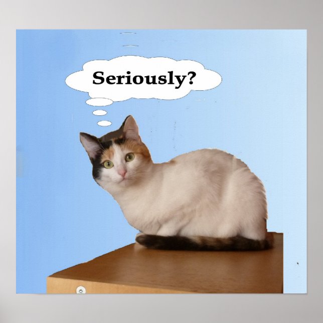 Seriously Poster (Front)