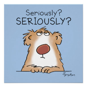 SERIOUSLY SKEPTICAL BEAR by Boynton Poster