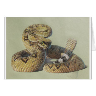 Serpent à sonnettes