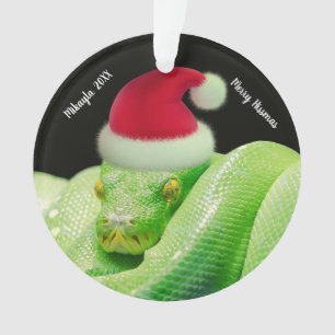 Serpent d'arbre vert à Santa Hat Joyeux Hissmas