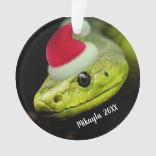 Serpent d'arbre vert dans l'ornement de Santa Hat