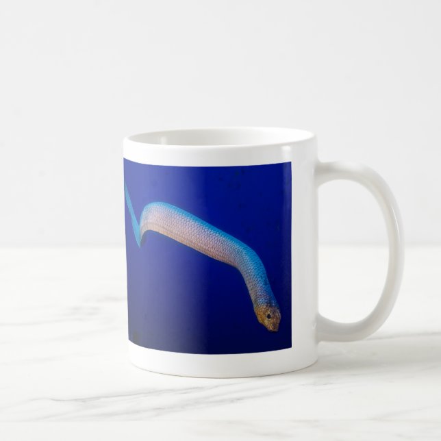Serpent de mer olive dans la tasse de café de mer (Droite)