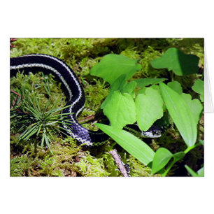 Serpent Garter