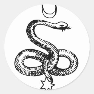Serpent  - Pagan Symbols Classic Round Sticker