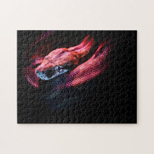 Serpent rouge sur Noir - Puzzle photo HD