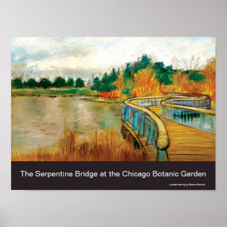 Serpentine Bridge at the Chicago Botanic Garden Poster