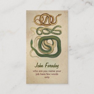 serpents carte de visite