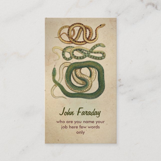 serpents carte de visite (Devant)