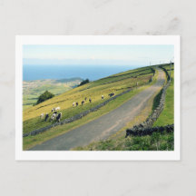 Serra do Cume: Terceira