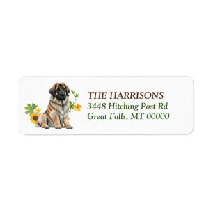 Serre de tournesol Leonberger Dog
