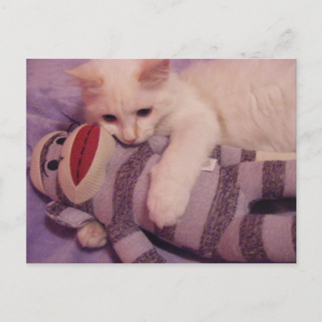 serrer la carte postale (Devant)