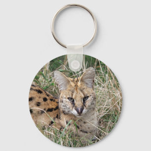 Serval cat relaxing in grass keychain
