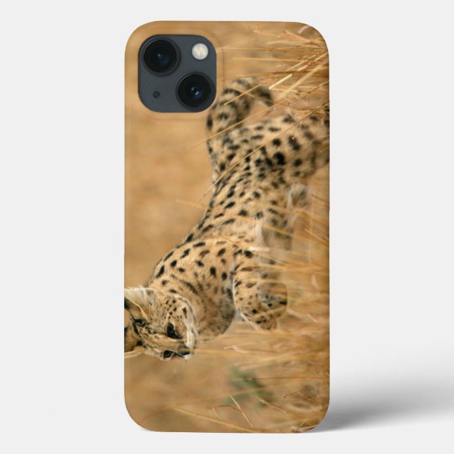Serval (Leptailurus Serval) Jumping Case-Mate iPhone Case (Back)