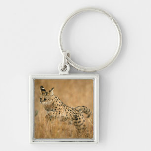 Serval (Leptailurus Serval) Jumping Keychain