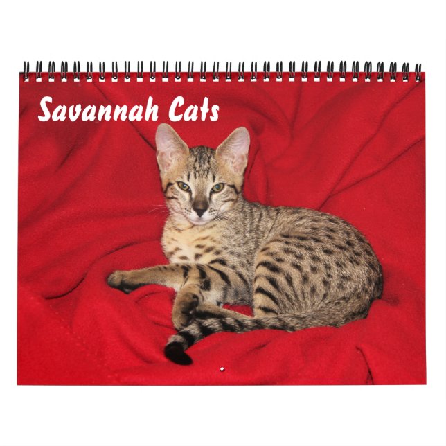 Serval Savannah Cat Calendar (Cover)