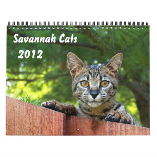 Serval Savannah Cat Calendar