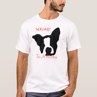 Servant to a Boston shirt