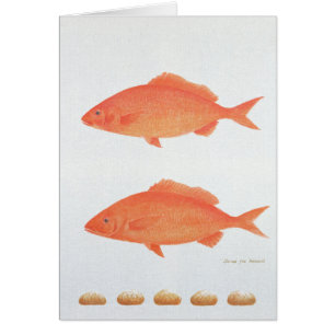 Serves Five Thousand 2005