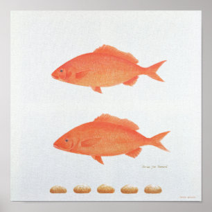 Serves Five Thousand 2005 Poster