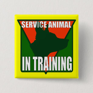 SERVICE ANIMAL TRAINING 2 INCH SQUARE BUTTON