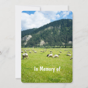 Service commémoratif Invitation éleveur de moutons