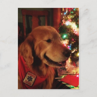 Service Dog Jonah Christmas Postcard