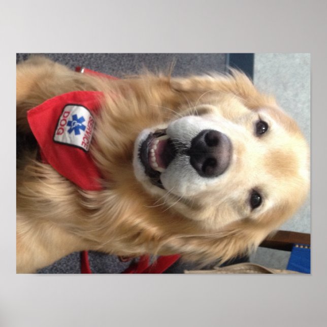 Service Dog Jonah  Smiles at the Dentist Poster (Front)