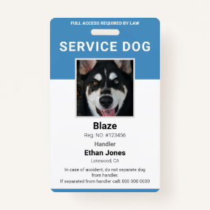 Service Dog Photo Blue Badge