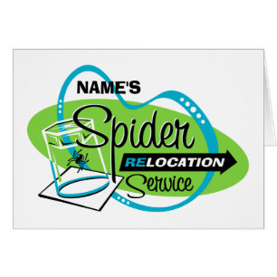 Service PERSONNALISÉ de relocalisation d'araignée