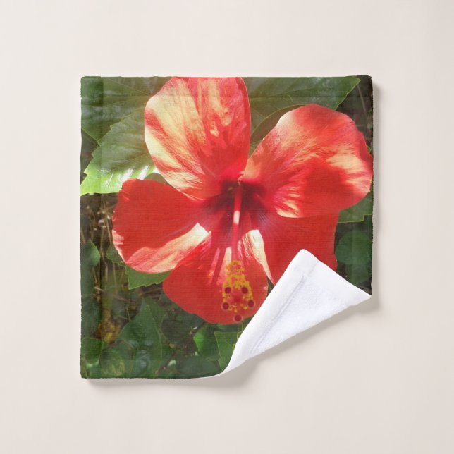 Serviette (Gant de toilette)