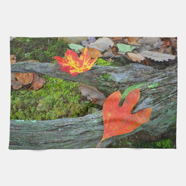 Serviette à plat d'automne (Horizontal)