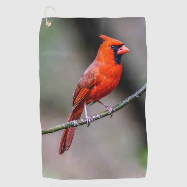 Serviette cardinale de golf (Devant)