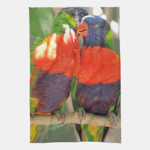 Serviette de cuisine de caresse de Lorikeets