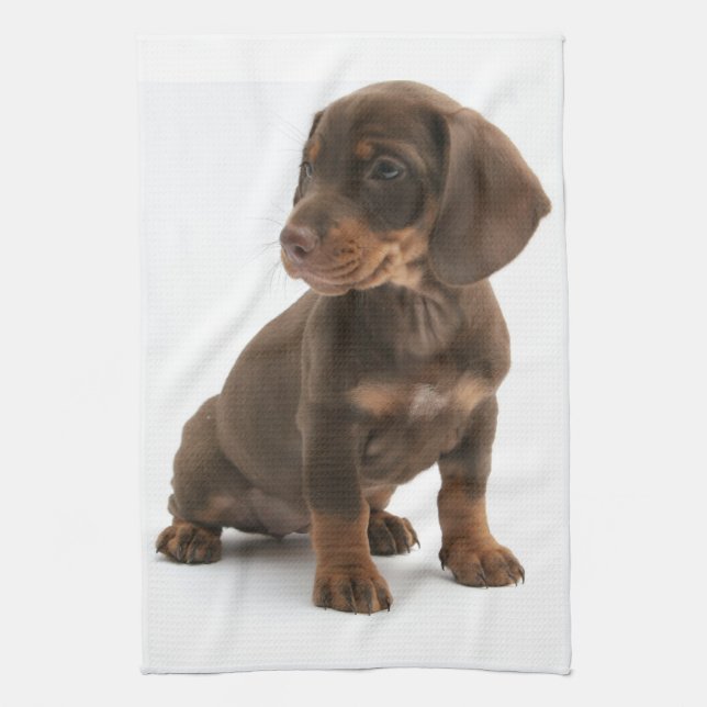 Serviette de cuisine de chiot de teckel (Vertical)
