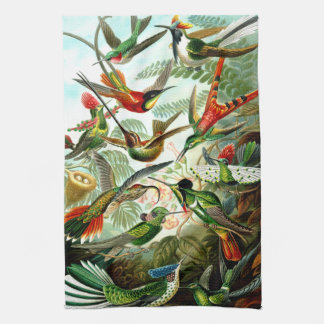 Serviette de cuisine de colibris