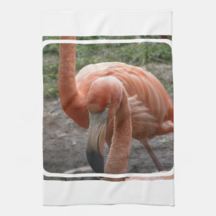 Serviette de cuisine de Flamants roses