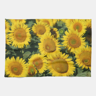 Serviette de cuisine de tournesols 16" x 24"