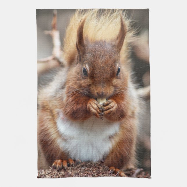 Serviette de cuisine d'écureuil (Vertical)