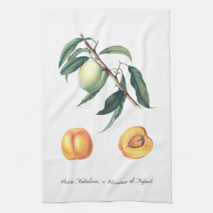 Serviette de cuisine italienne de pêche