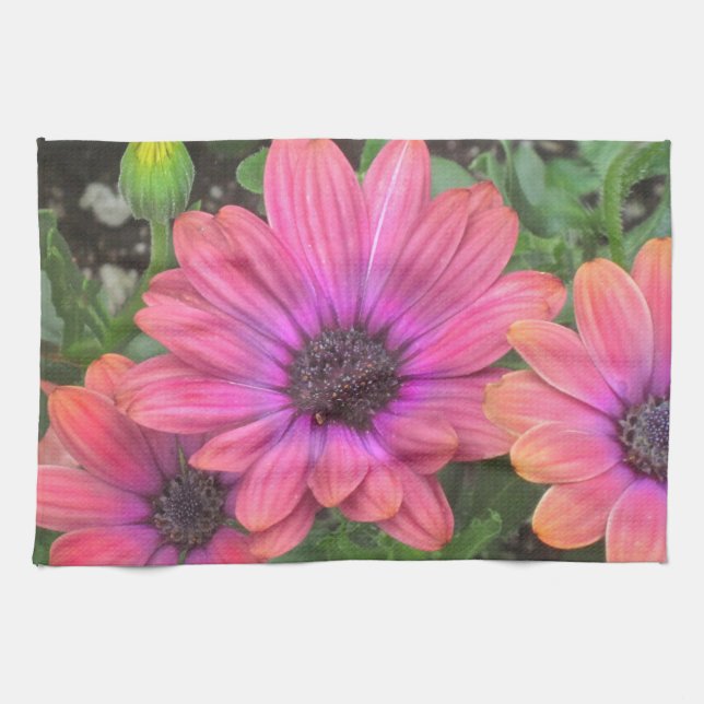 Serviette de cuisine multicolore (Horizontal)