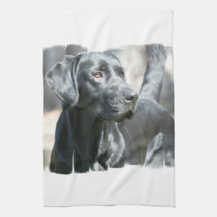 Serviette de cuisine noire de laboratoire