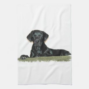 Serviette de cuisine noire de laboratoire