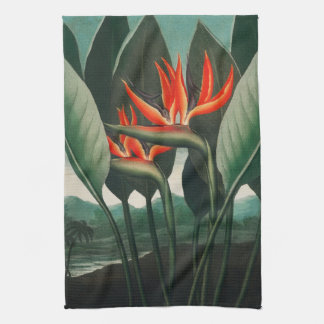 Serviette de cuisine Oiseau du Paradis