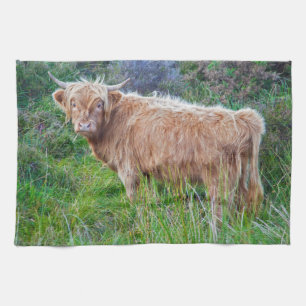 Serviette de cuisine pour la jeune vache Highland