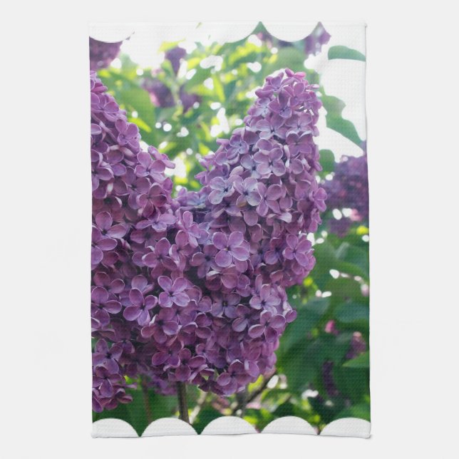 Serviette de cuisine pourpre de lilas (Vertical)