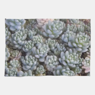 Serviette de cuisine succulente