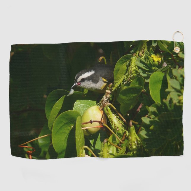 Serviette De Golf Bananaquit Bird Mange Photographie tropicale (Horizontal)
