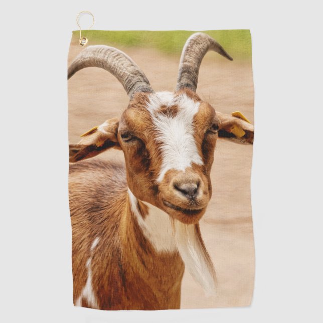 Serviette De Golf Chèvre Brown et chèvre blanche (Devant)